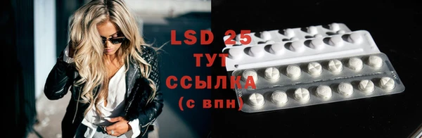 PSILOCYBIN Алзамай