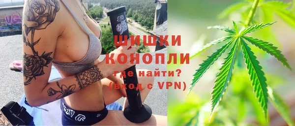 PSILOCYBIN Алзамай