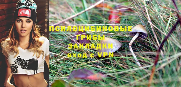 PSILOCYBIN Алзамай
