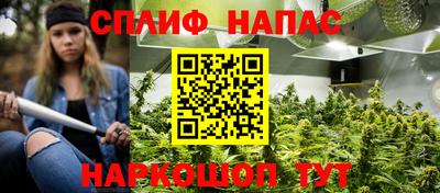 кокс Нальчик