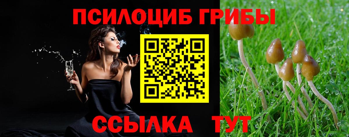 Псилоцибиновые грибы мухоморы Омск