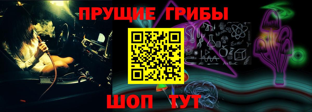 Галлюциногенные грибы Psilocybe  Галлюциногенные грибы прущие грибы  Омск  Вход с VPN 